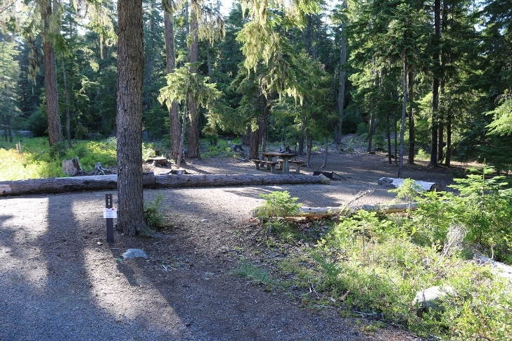 Camping in Washingtons Kachess Campground.